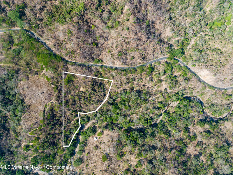 Sn Carr. A Sn. Sebastian, 2 Has Near Sn Sebastian I, Sierra Madre Jalisco, Ja