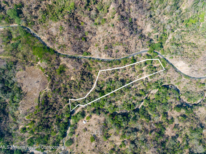 Sn Carr. A Sn. Sebastian, 2 Has Near Sn Sebastian Ii, Sierra Madre Jalisco, Ja