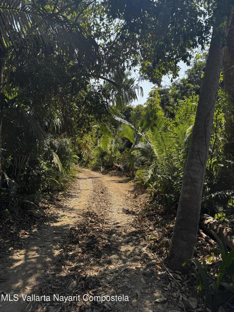 20250626192938435506000000 o