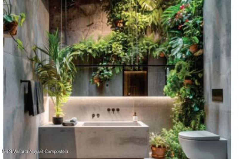 20251202202514843380000000 o