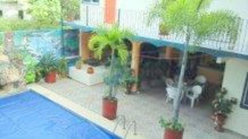 Tropical Paradise 13