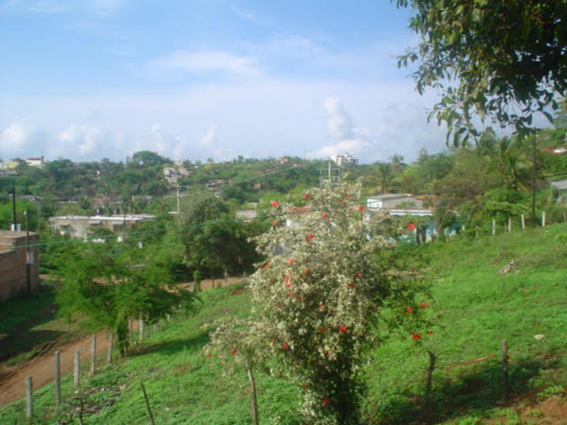 Casa Virginia